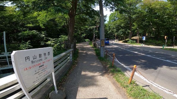 円山動物園の画像